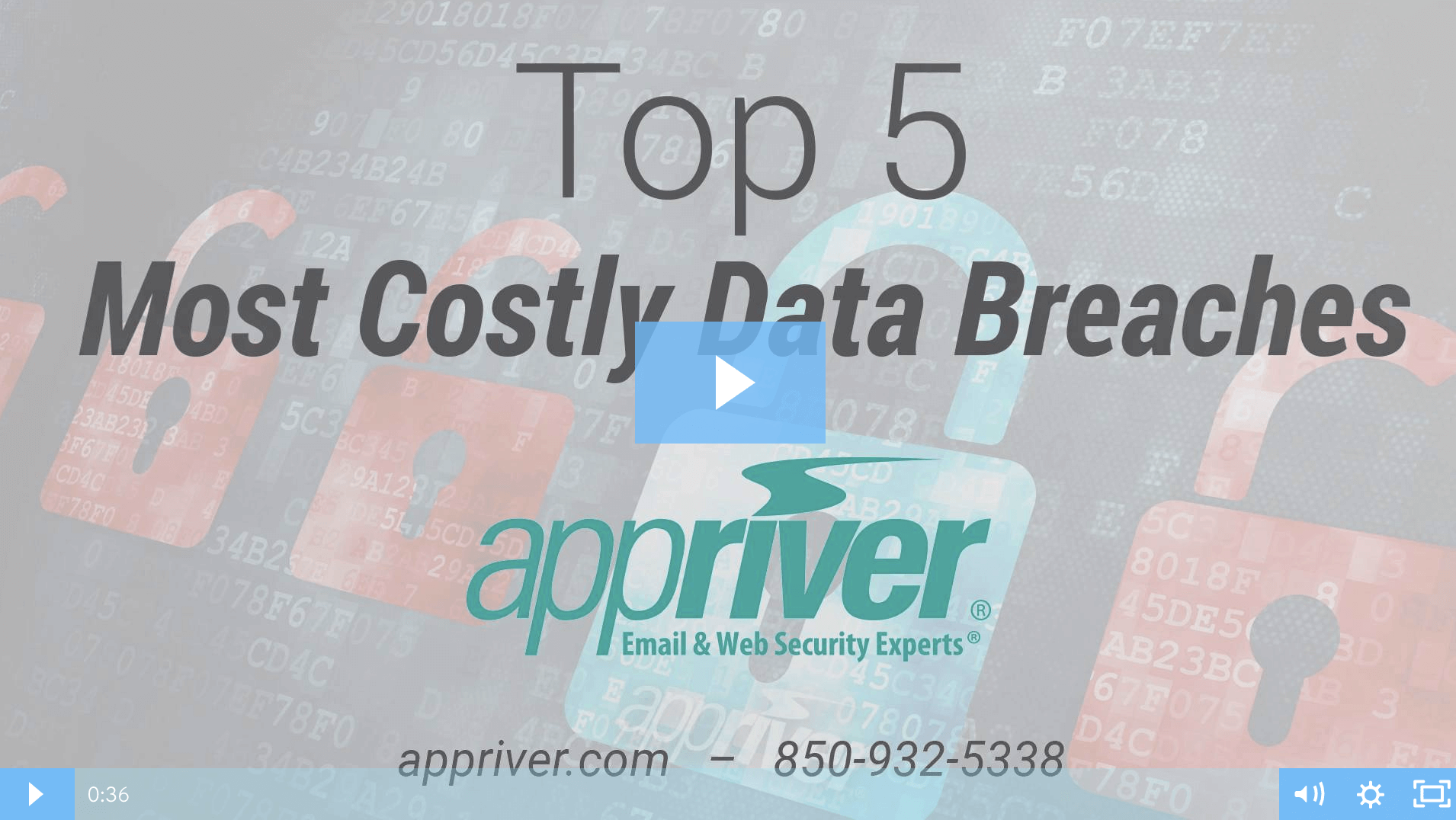 AppRiver - Most Costly Data Breaches